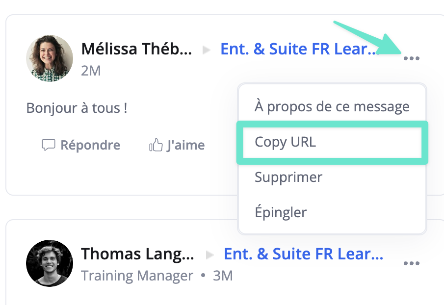 rn-copy-post-url_fr.png
